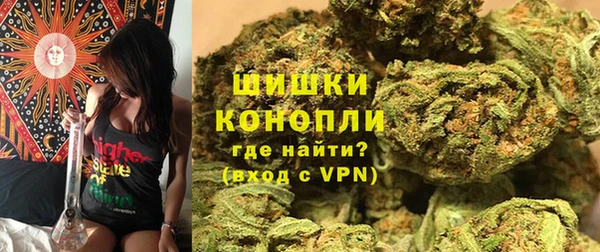 PSILOCYBIN Абаза