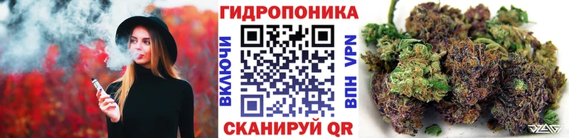 цена Сусуман Марихуана MAZAR
